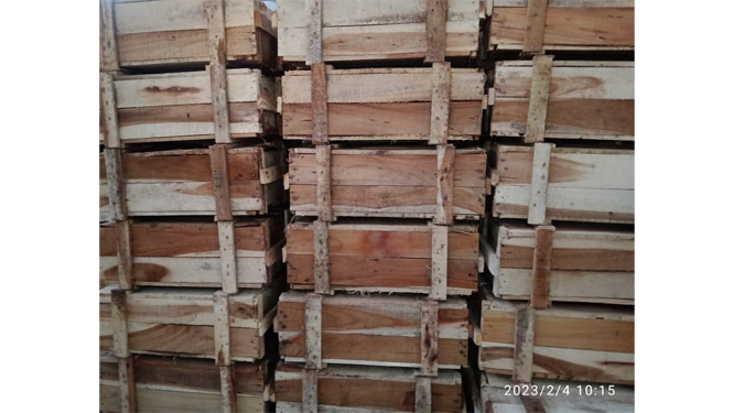 Wooden Planks
